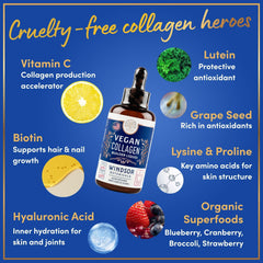 Windsor Botanicals vegan collagen bottle features easy 2 ml dropper.