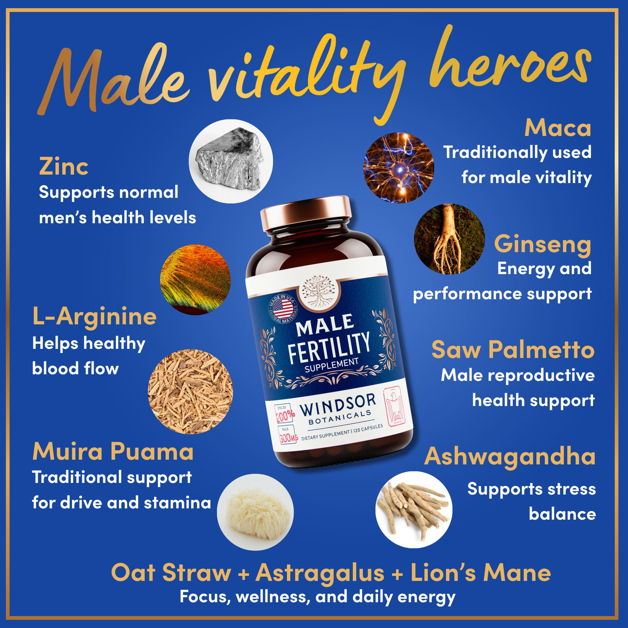 WINDSOR BOTANICALS maca root capsules highlighting maca for daily vitality.