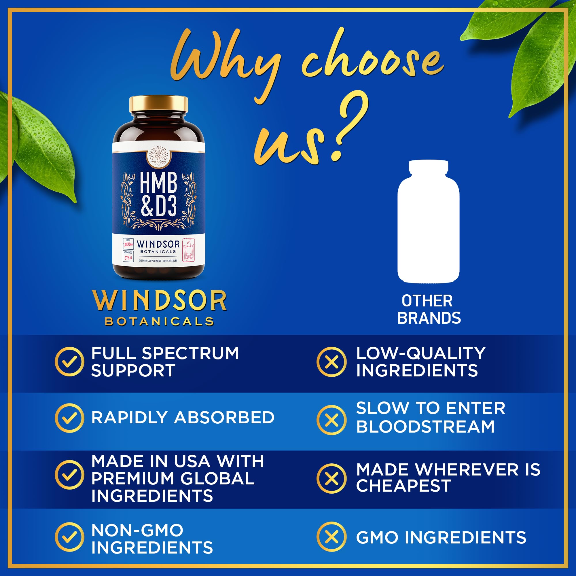 GMP-certified WINDSOR BOTANICALS US manufacturing facility highlighting quality