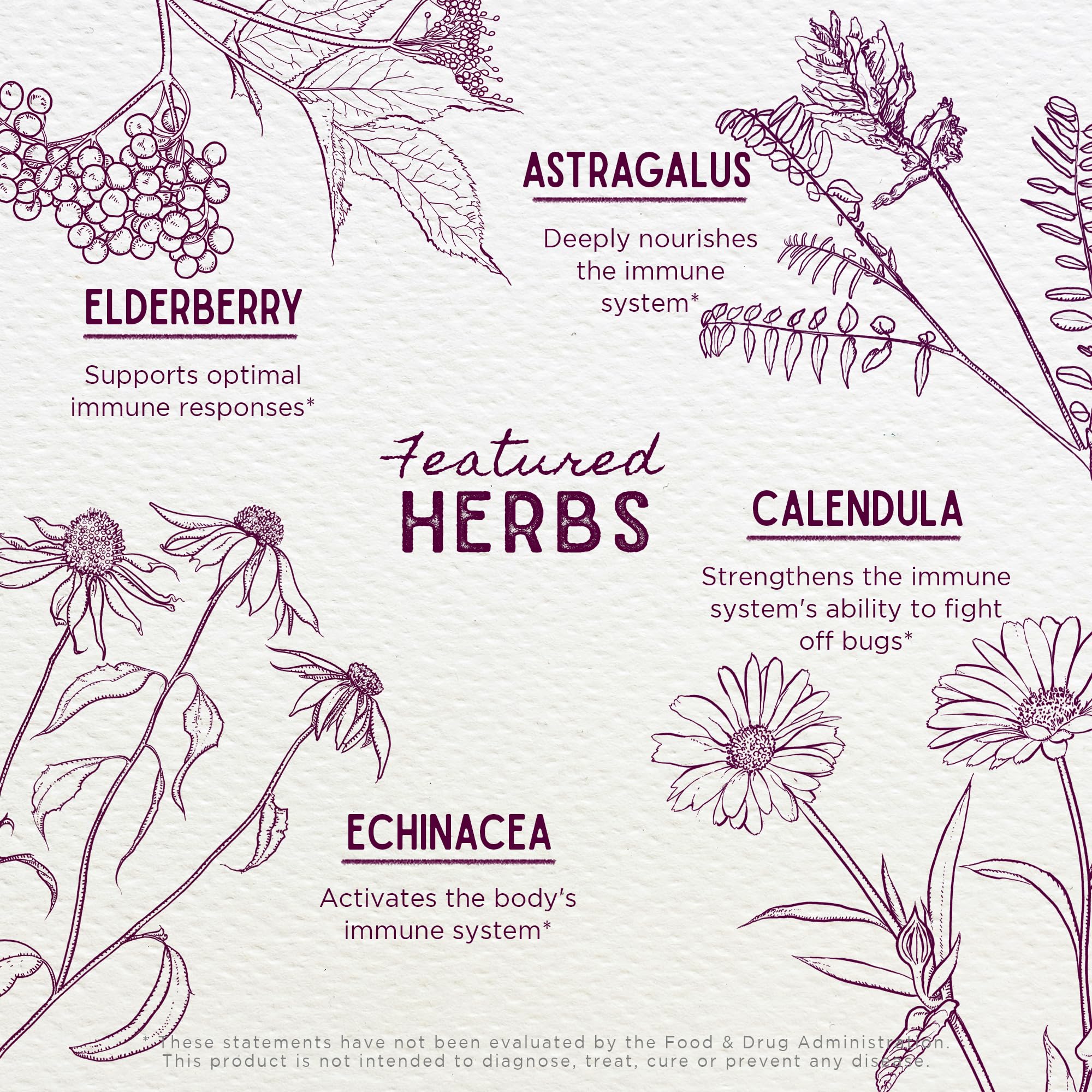 WishGarden Daily Immune ingredients blend including astragalus and red clover