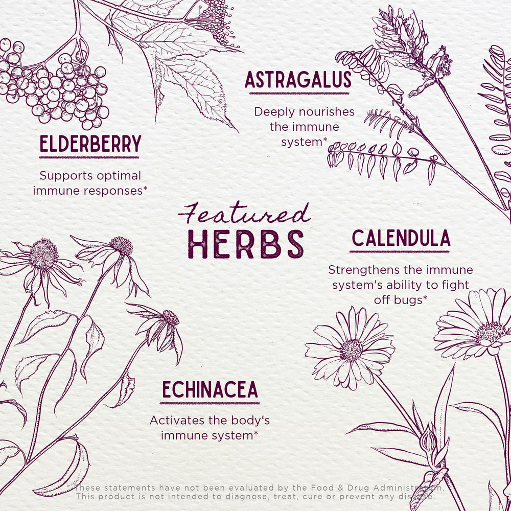 WishGarden Daily Immune ingredients blend including astragalus and red clover