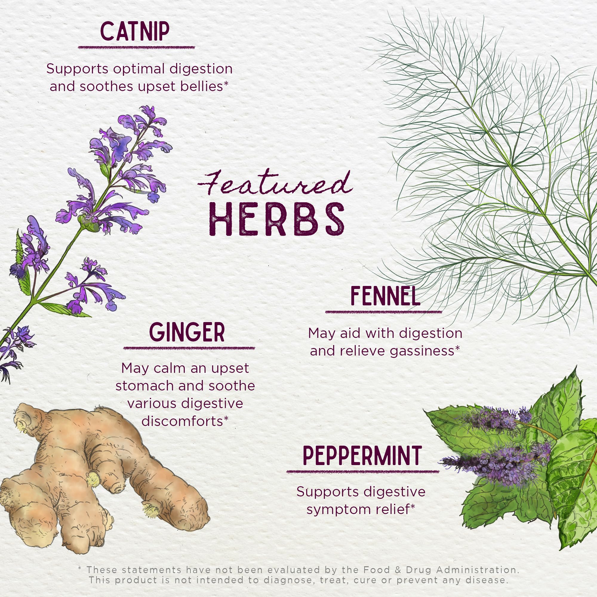 WishGarden Digestive Rescue peppermint-leaf helps soothe occasional discomfort.