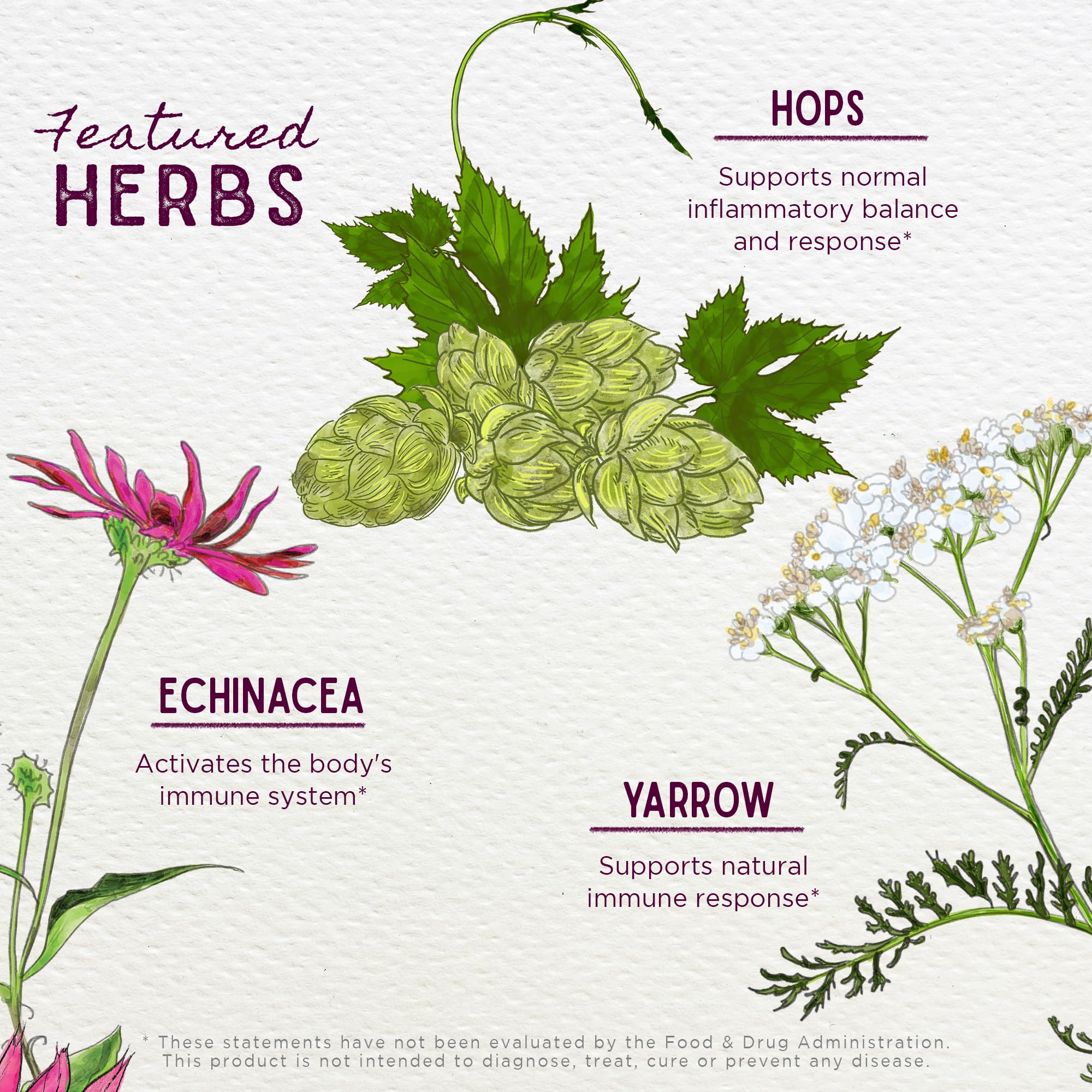 WishGarden Happy Ducts ingredients usnea lichen image emphasizing sustainable botanicals