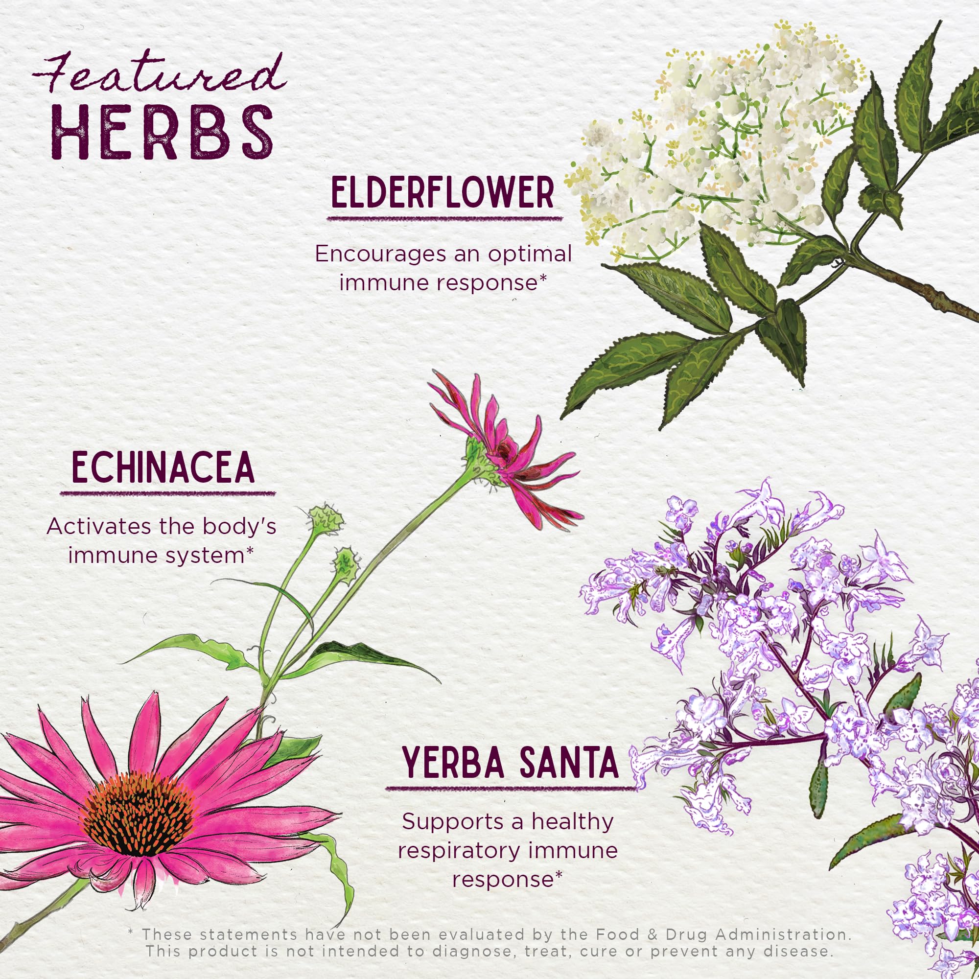 WishGarden Organic Echinacea and Goldenseal ingredients featured for quality herbs.