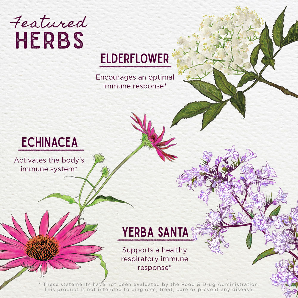 WishGarden Organic Echinacea and Goldenseal ingredients featured for quality herbs.