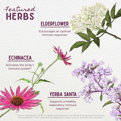 WishGarden Organic Echinacea and Goldenseal ingredients featured for quality herbs.