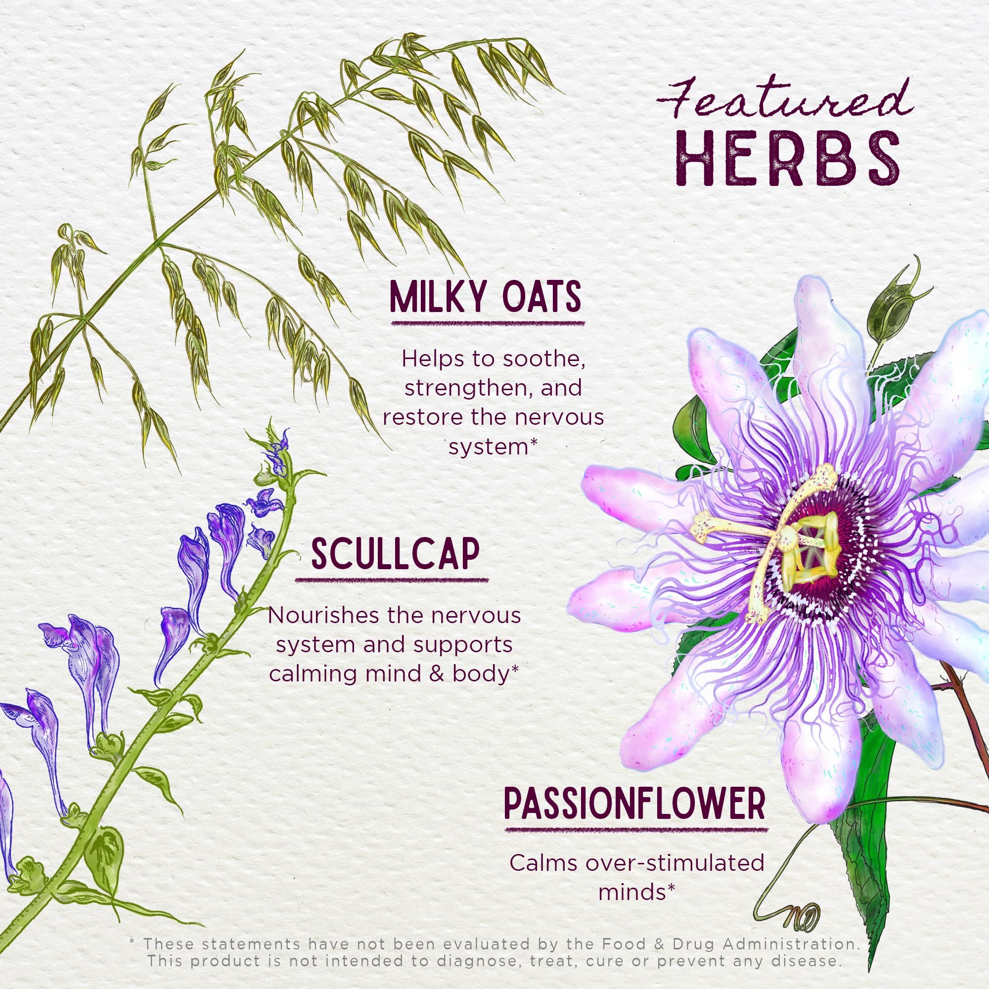 WishGarden Quiet Time ingredients-scullcap close-up shows herbal tincture base.