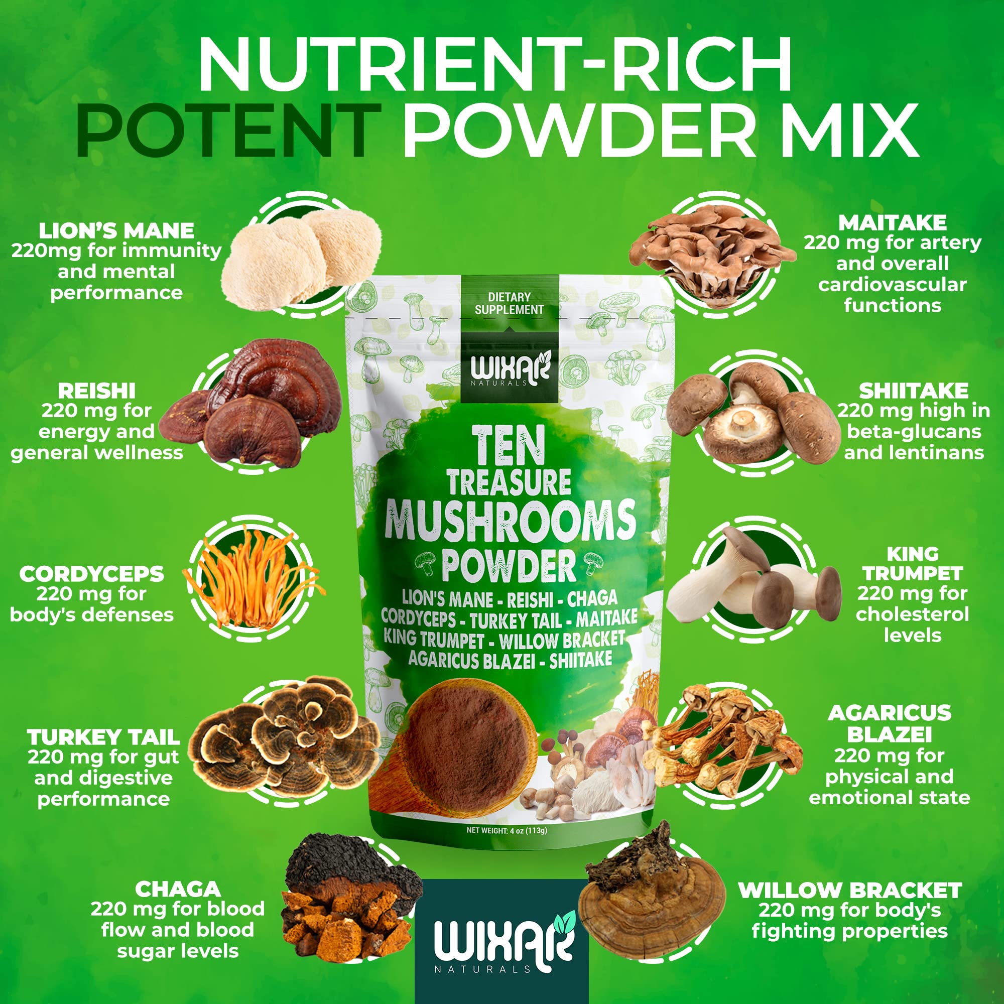 Wixar Naturals Lions Mane powder scoop ready for quick drink mixing.
