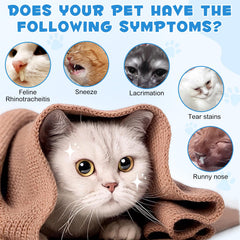 WLCTJIAYOU L-Lysine for Cats dropper enables easy daily dosing.