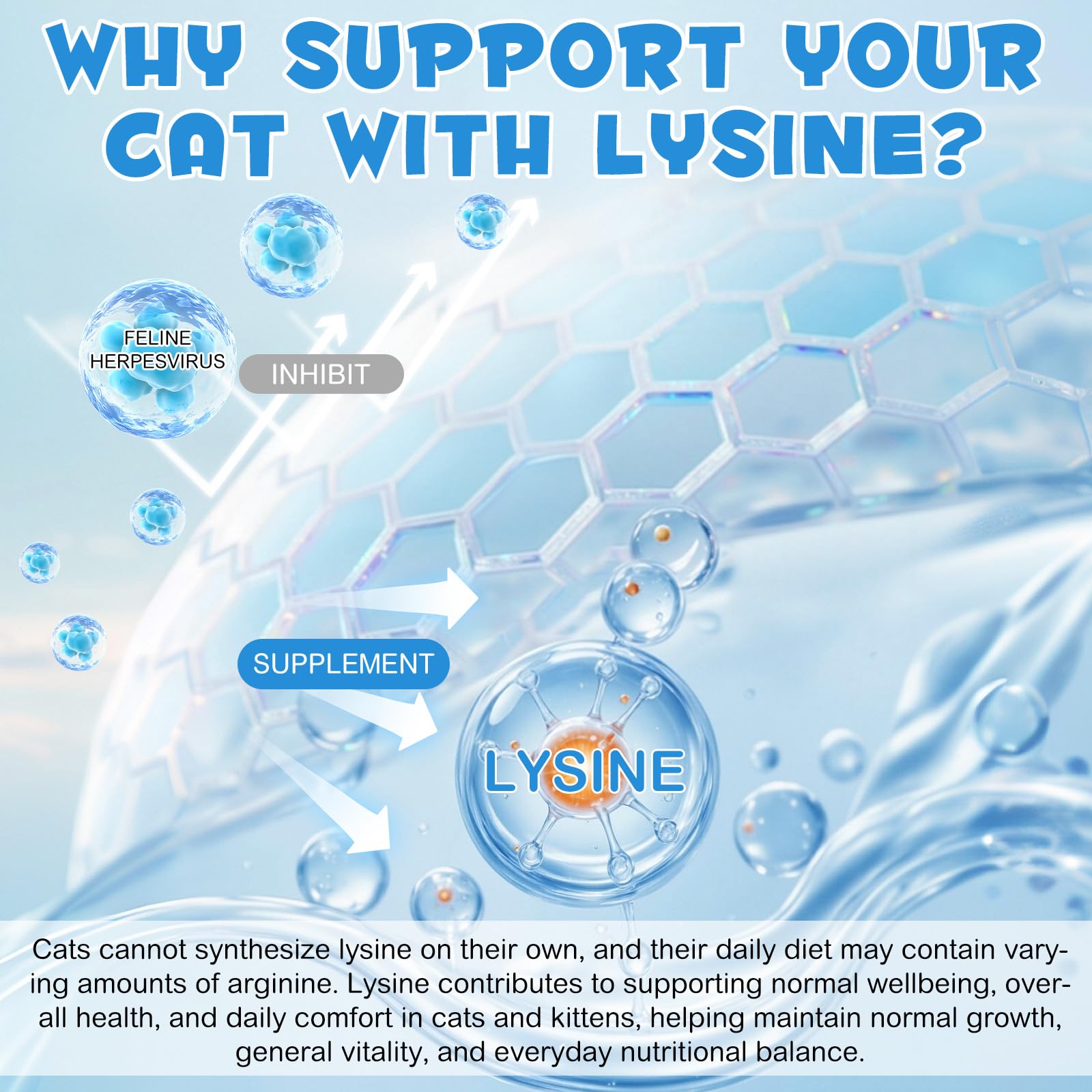 WLCTJIAYOU L-Lysine for Cats eye-health support formula.