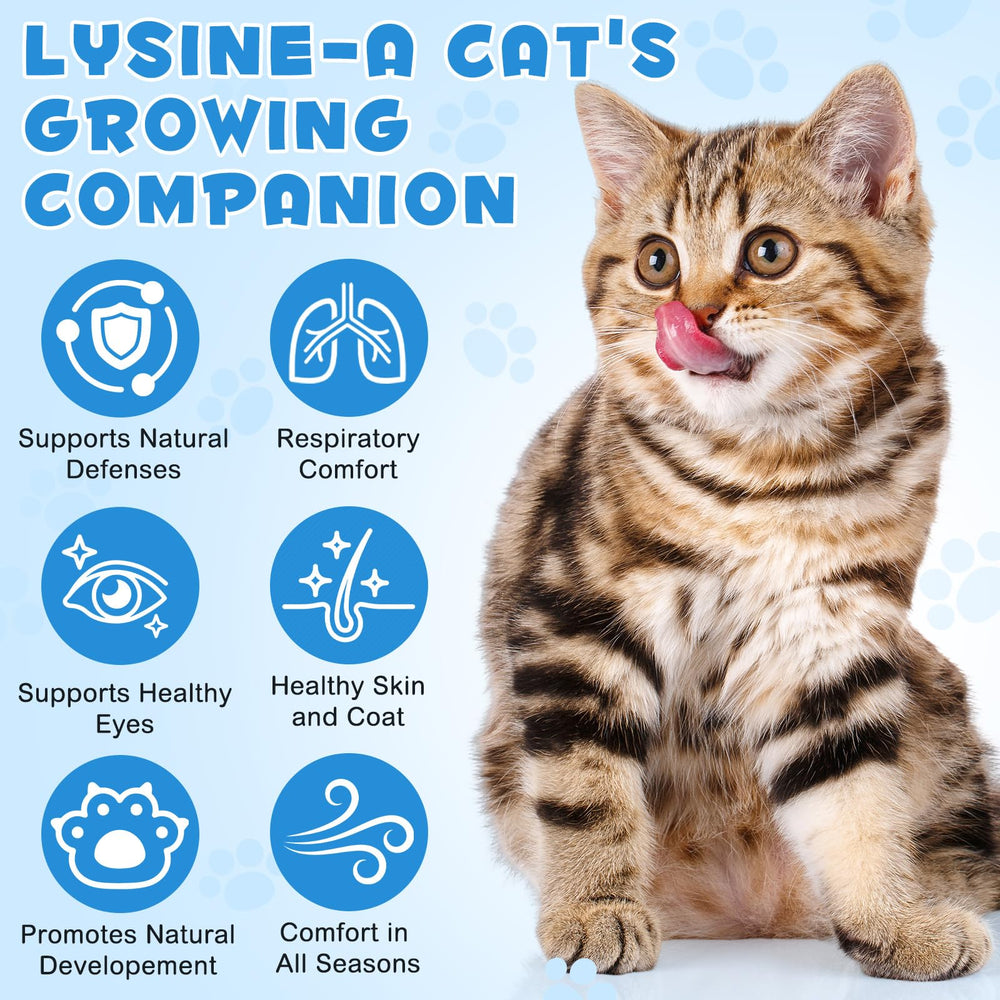 WLCTJIAYOU L-Lysine for Cats immune-support drops for wellness.