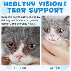 WLCTJIAYOU L-Lysine for Cats roast chicken flavor tastes appealing.