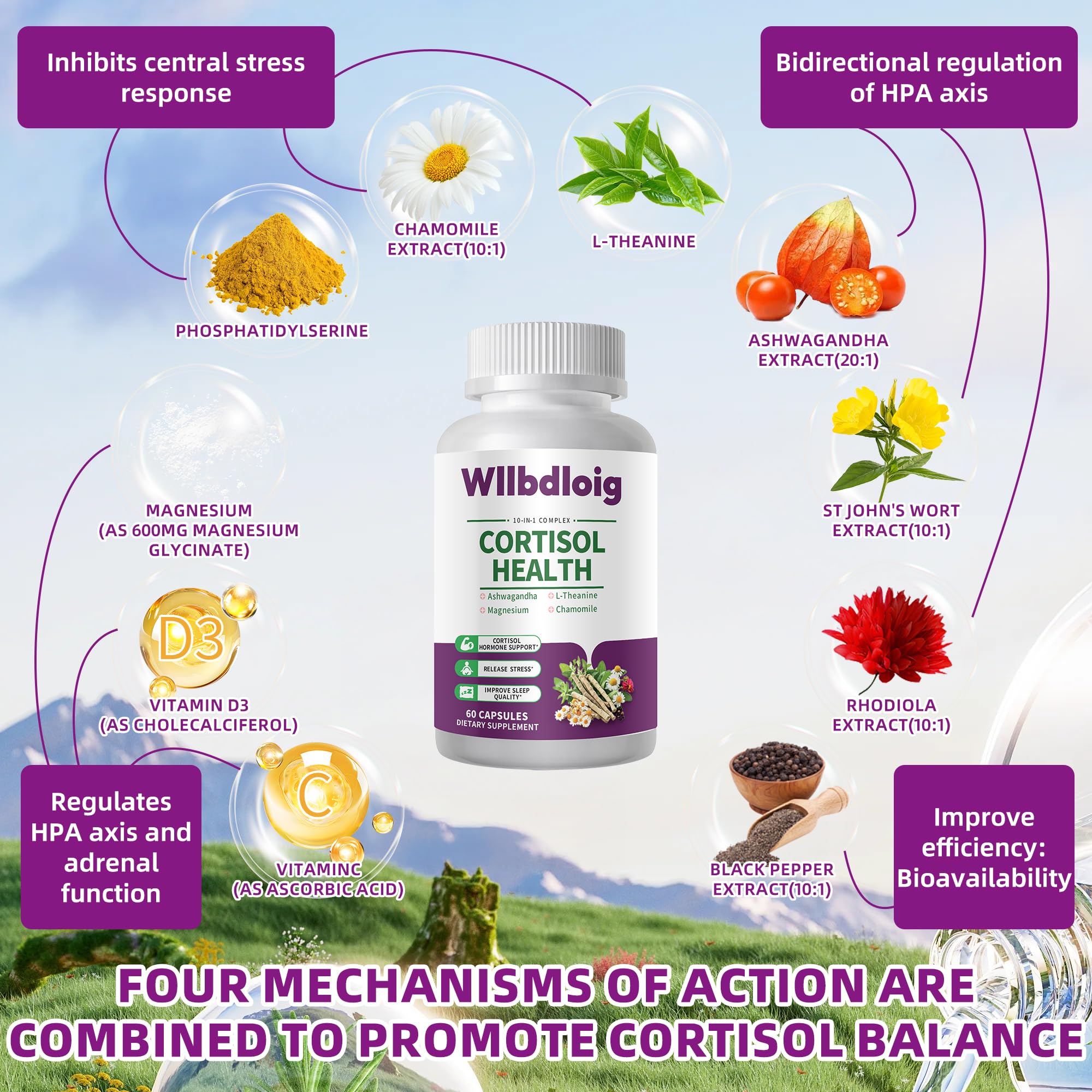 Wllbdloig cortisol ingredients highlighting adaptogens and L-Theanine balance