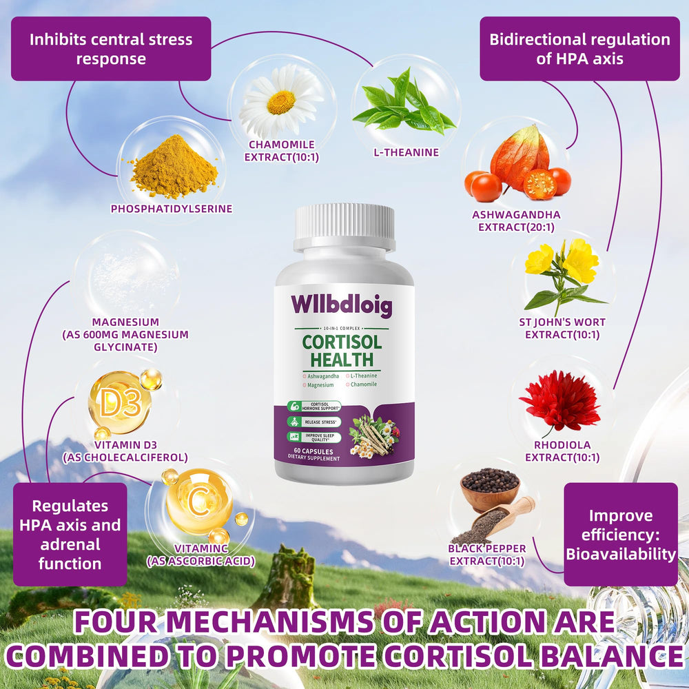 Wllbdloig cortisol ingredients highlighting adaptogens and L-Theanine balance