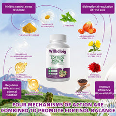 Wllbdloig cortisol ingredients highlighting adaptogens and L-Theanine balance