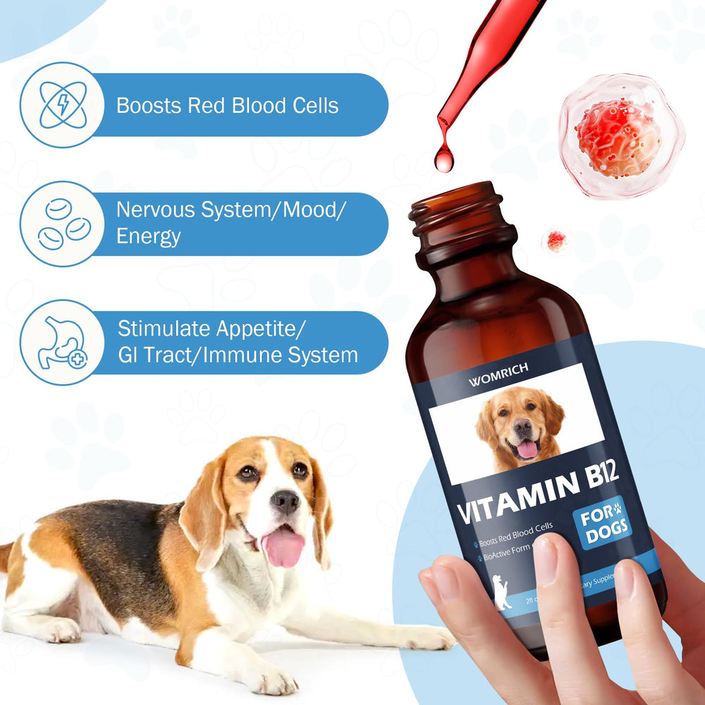 WOMRICH B12 energy support for dogs in action.