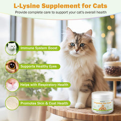 WOMRICH L-Lysine powder mixed into wet food; easy daily feeding.