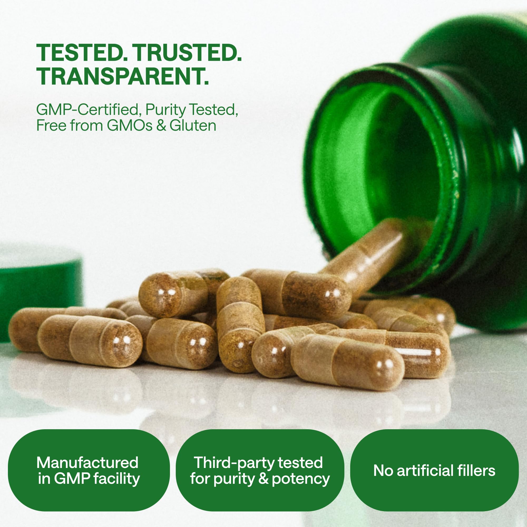 Wonder Family Ashwagandha Complex capsules in hand for on-the-go balance.