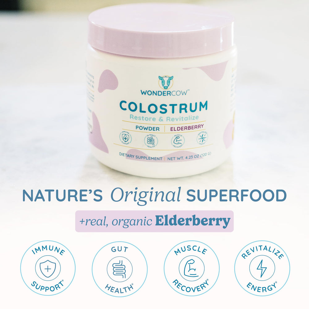 WonderCow elderberry-infused colostrum powder poured into smoothie for immune support.