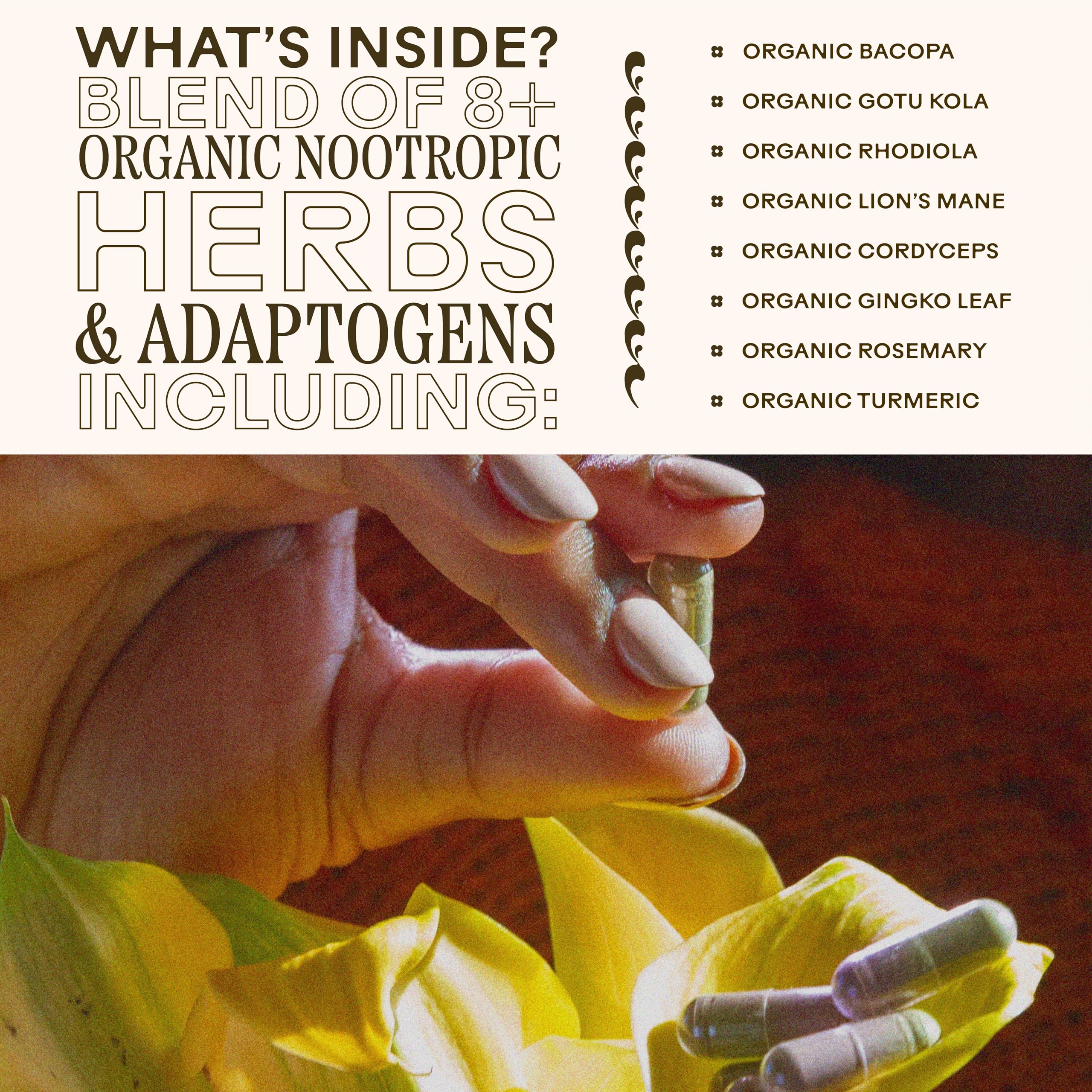 Packaging shot emphasizes gluten-free, non-GMO, and vegan certifications