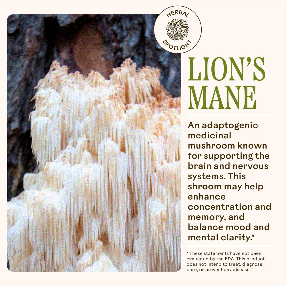 Ingredient close-up features rosemary leaves and lion’s mane for cognitive support