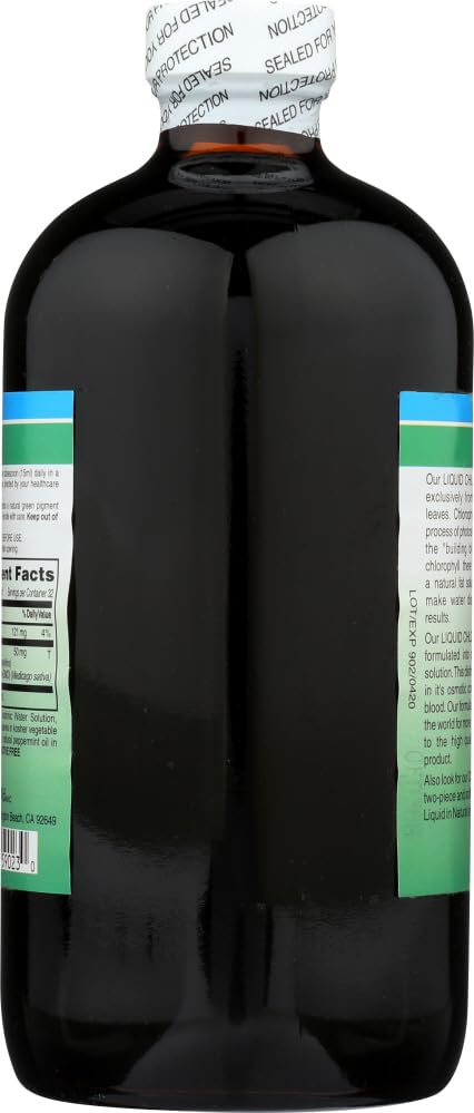 World Organic Liquid Chlorophyll Mint dropper-cap close-up suggests easy dosing.