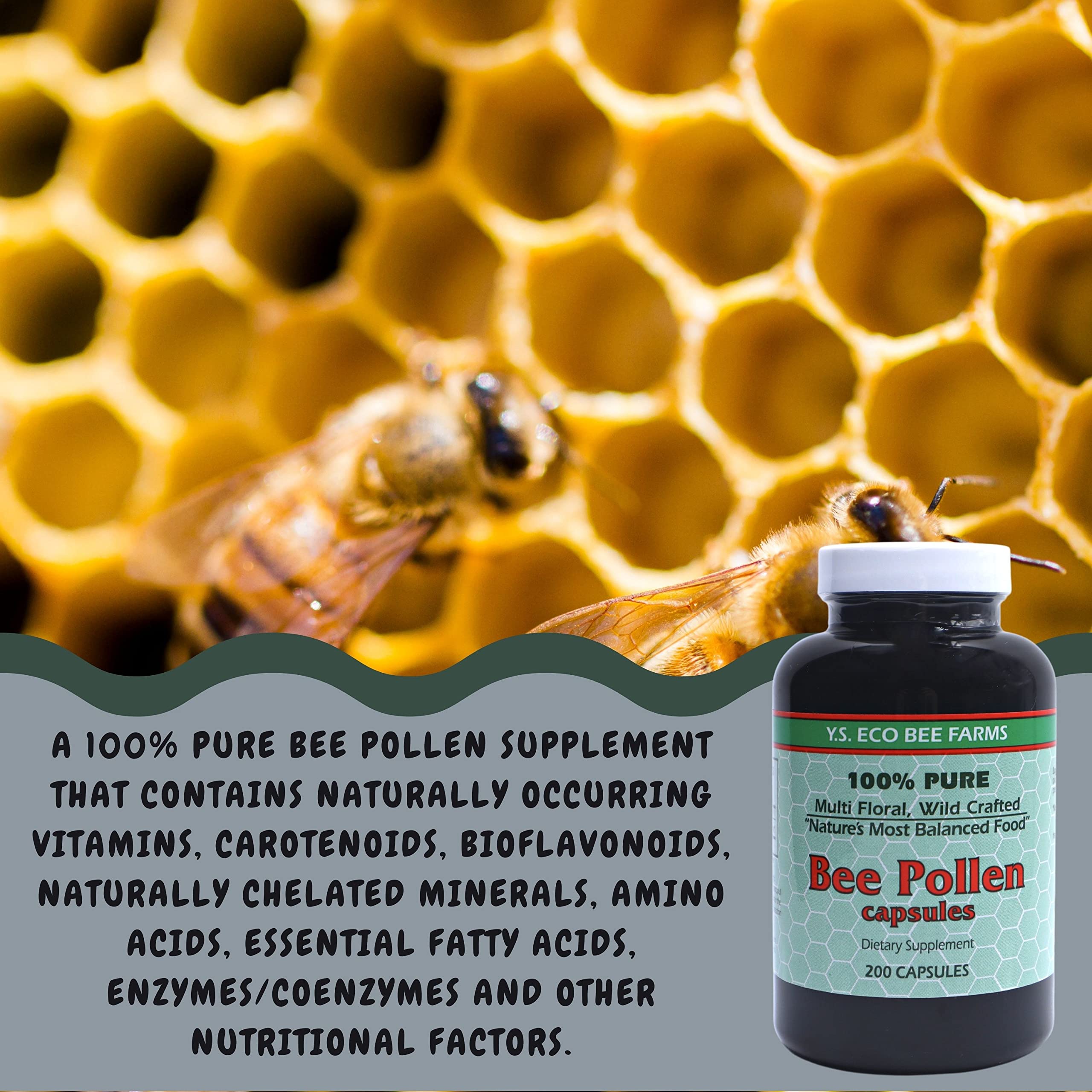 Worldwide Nutrition nutrition facts detail highlighting vitamin C and B12 content