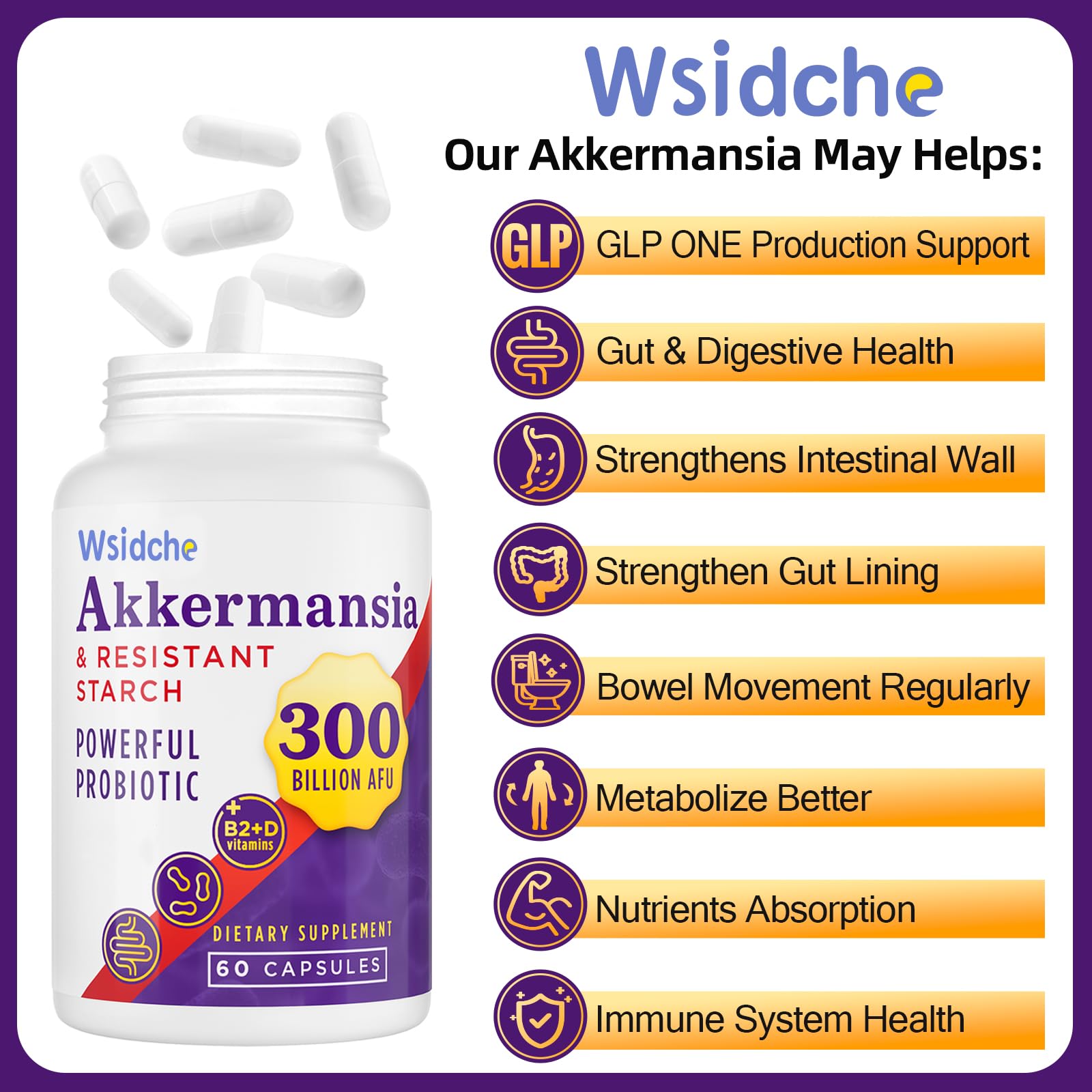 Wsidche Akkermansia daily-use capsules for consistent digestive balance.