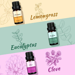 WUSEONY Eucalyptus oil bottle provides airy scent to uplift rooms.