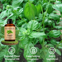 Wuvezrub Basil oil used in DIY candles for lasting fragrance