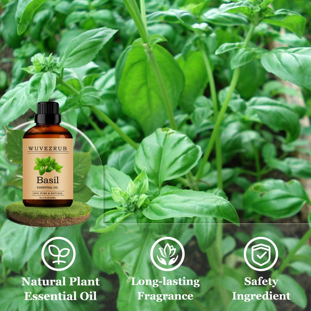 Wuvezrub candle fragrance with basil oil for a subtle, long-lasting scent.