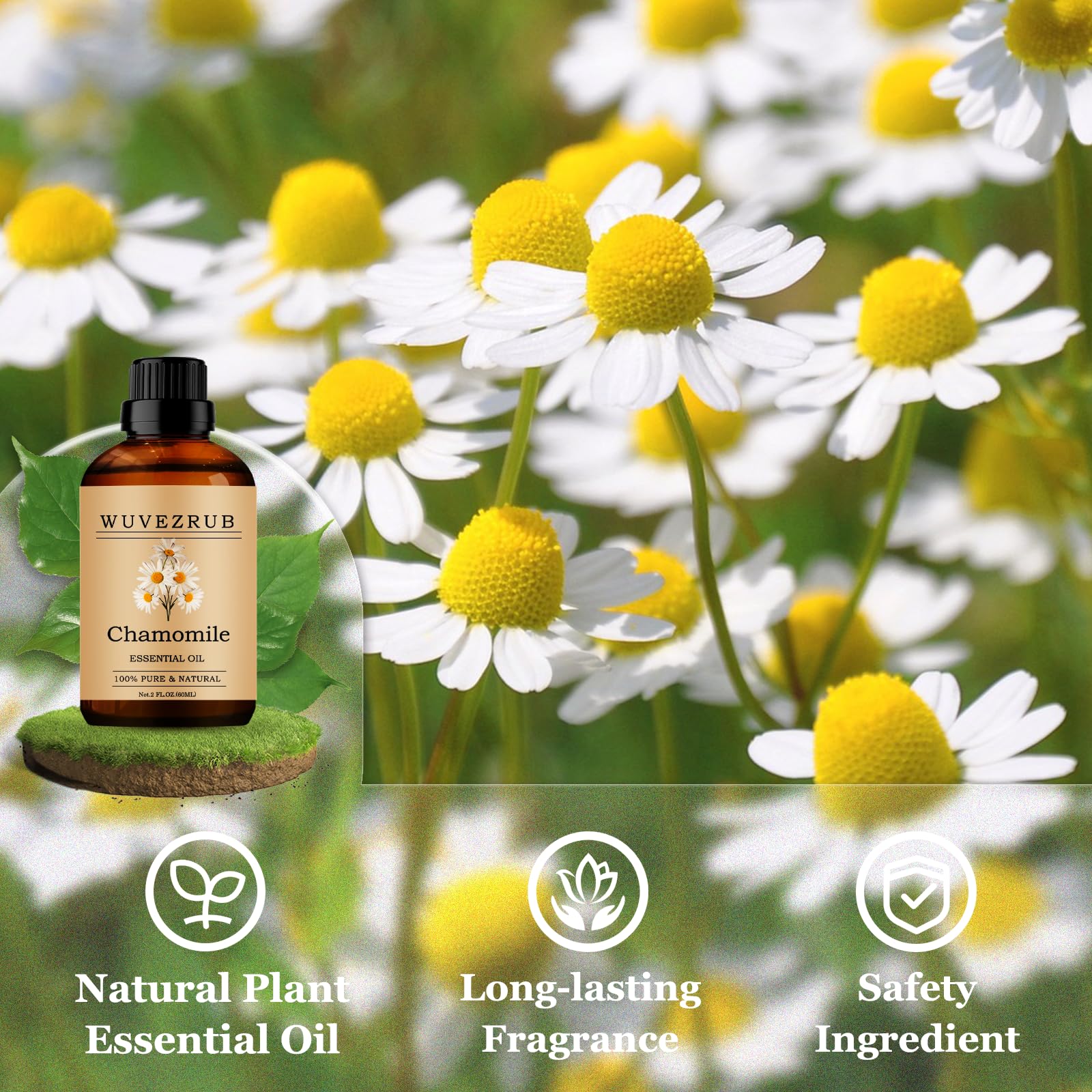 Wuvezrub chamomile oil image for candle or soap DIY fragrance projects.