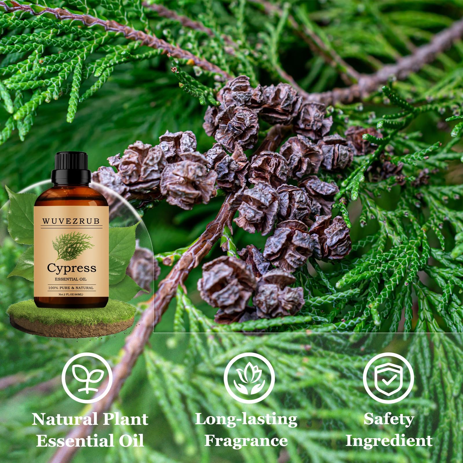 Cypress oil used in DIY candles and soaps for lasting scent.