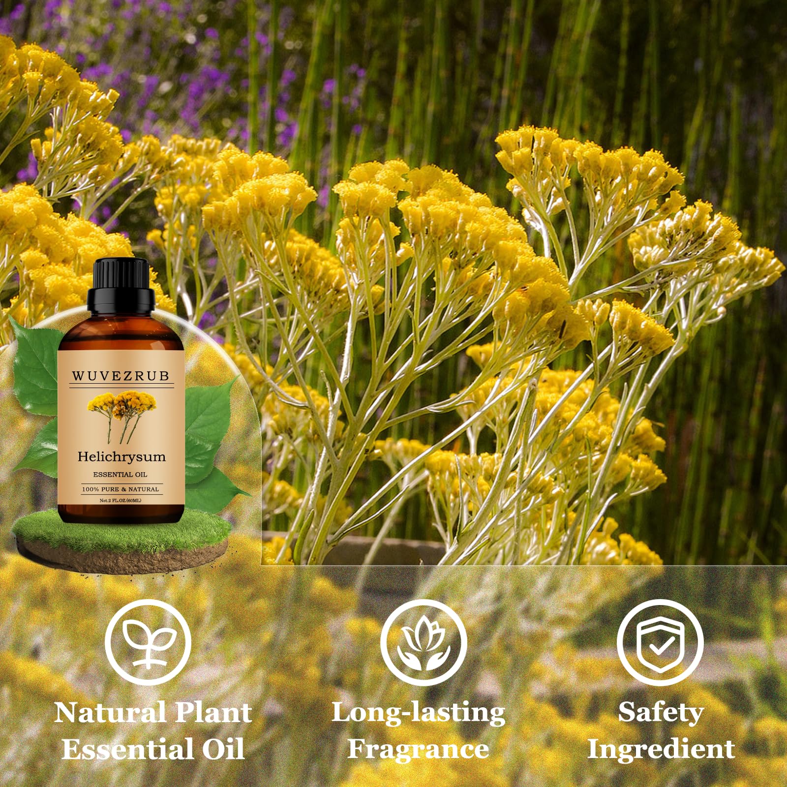 Wuvezrub Helichrysum oil in diffuser setup fills room with warm aroma.
