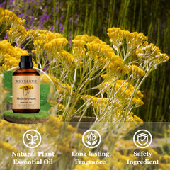 Wuvezrub Helichrysum oil in diffuser setup fills room with warm aroma.