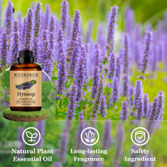 Wuvezrub Hyssop essential oil pour highlights vivid aroma for DIY blends.
