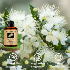 Wuvezrub Myrtle oil fragrance for candles and soaps, delivering a natural, lasting aroma