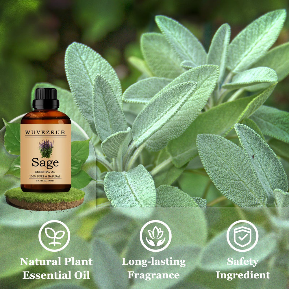 Wuvezrub Sage oil diffuser setup shown for easy aromatherapy sessions.