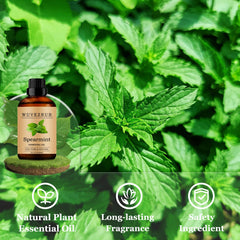 Wuvezrub Spearmint candle fragrance addition for a long-lasting scent.
