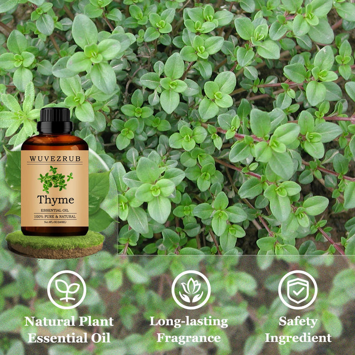 Wuvezrub Thyme used in DIY fragrance projects like candles and soaps.
