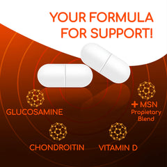 X Ray Dol glucosamine ingredient closeup for joint support