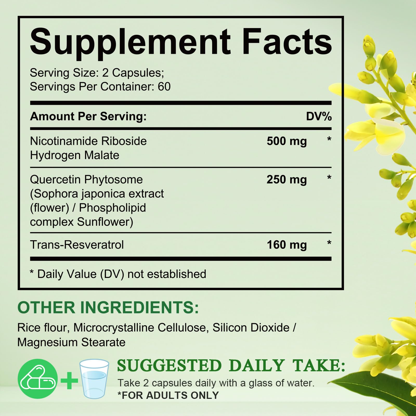 Xaarty NAD capsules closeup reveals coated capsules with Resveratrol and Quercetin blend.