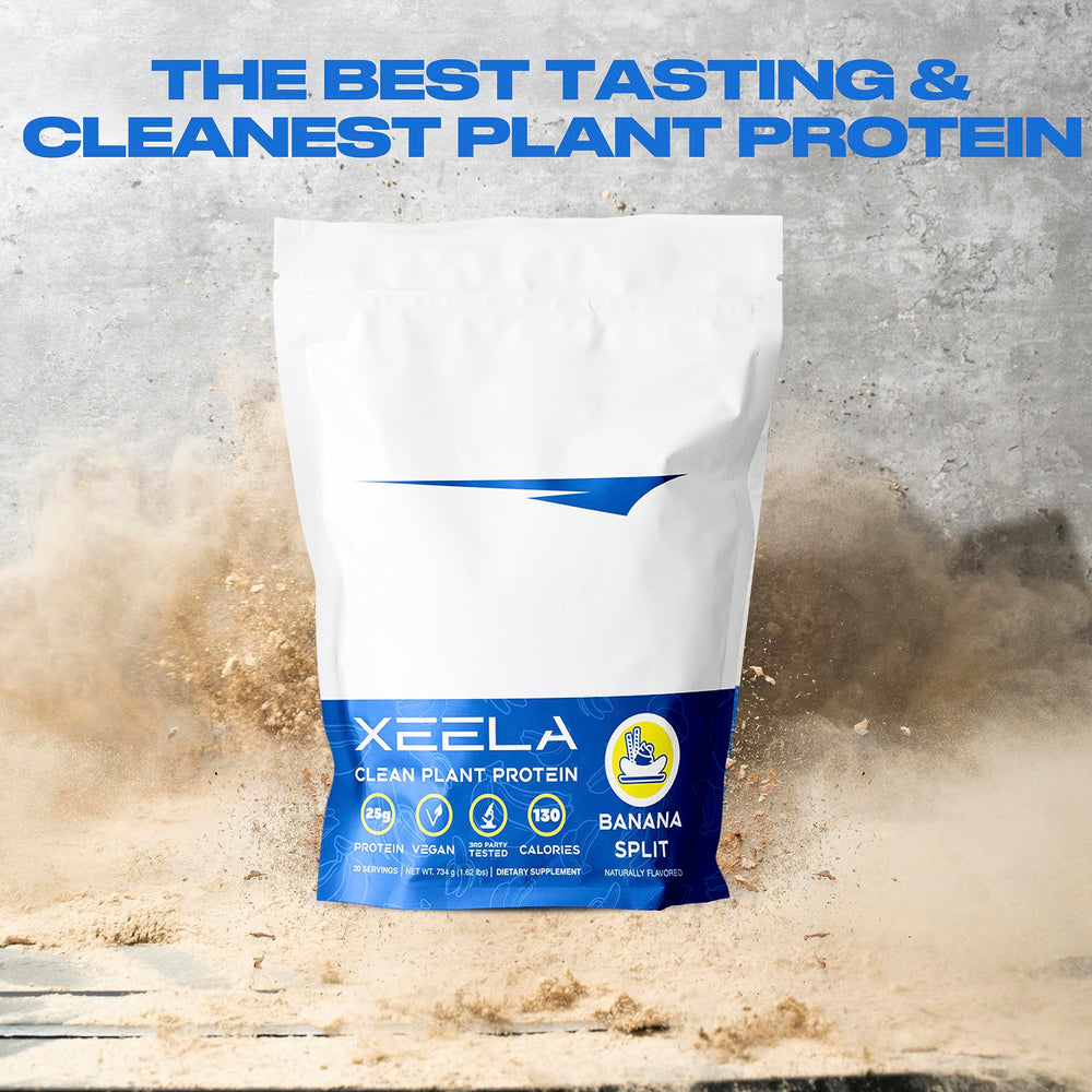 XEELA fermented sunflower-derived BCAAs for plant-based recovery.