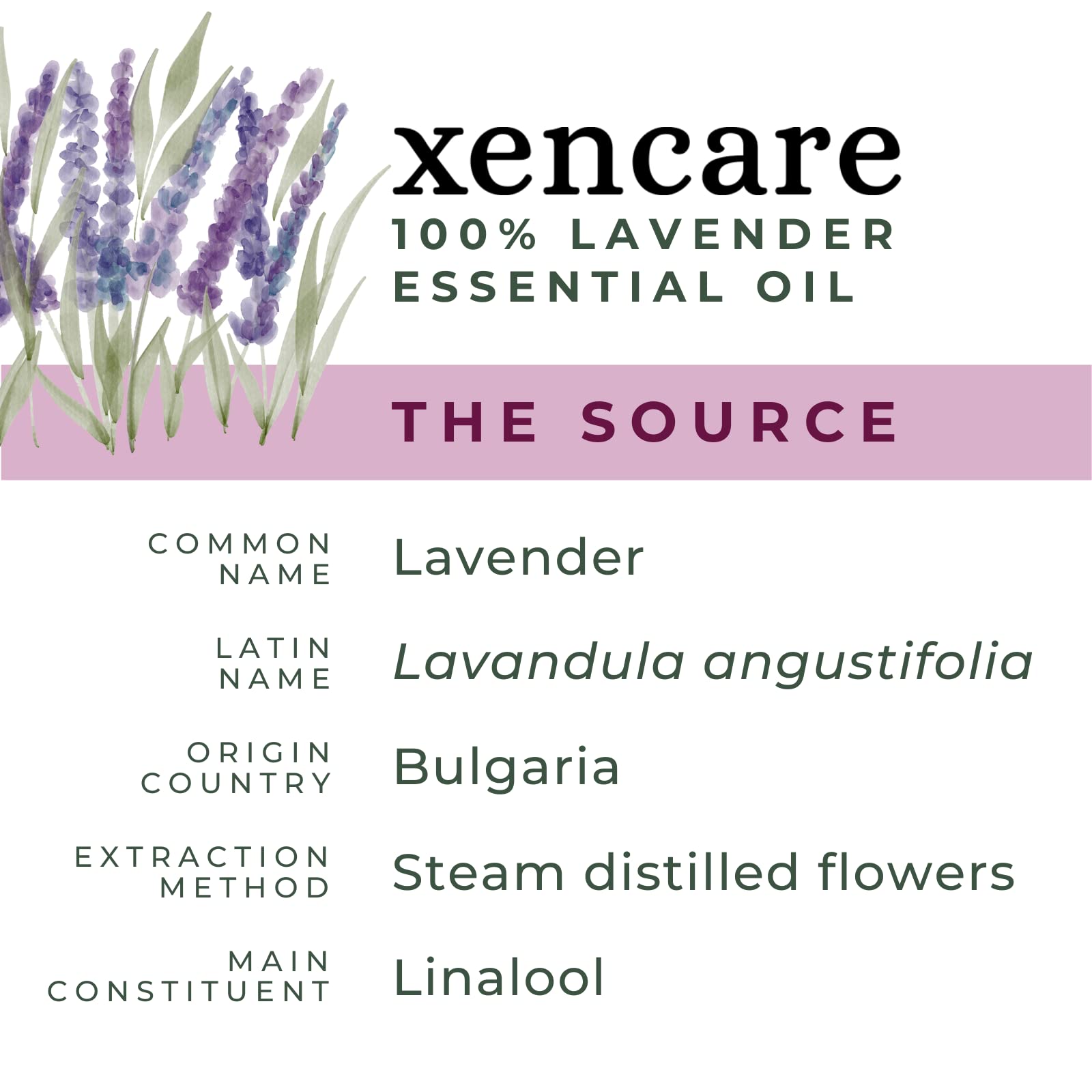 XenCare Lavender oil pour close-up showing pale yellow fluid