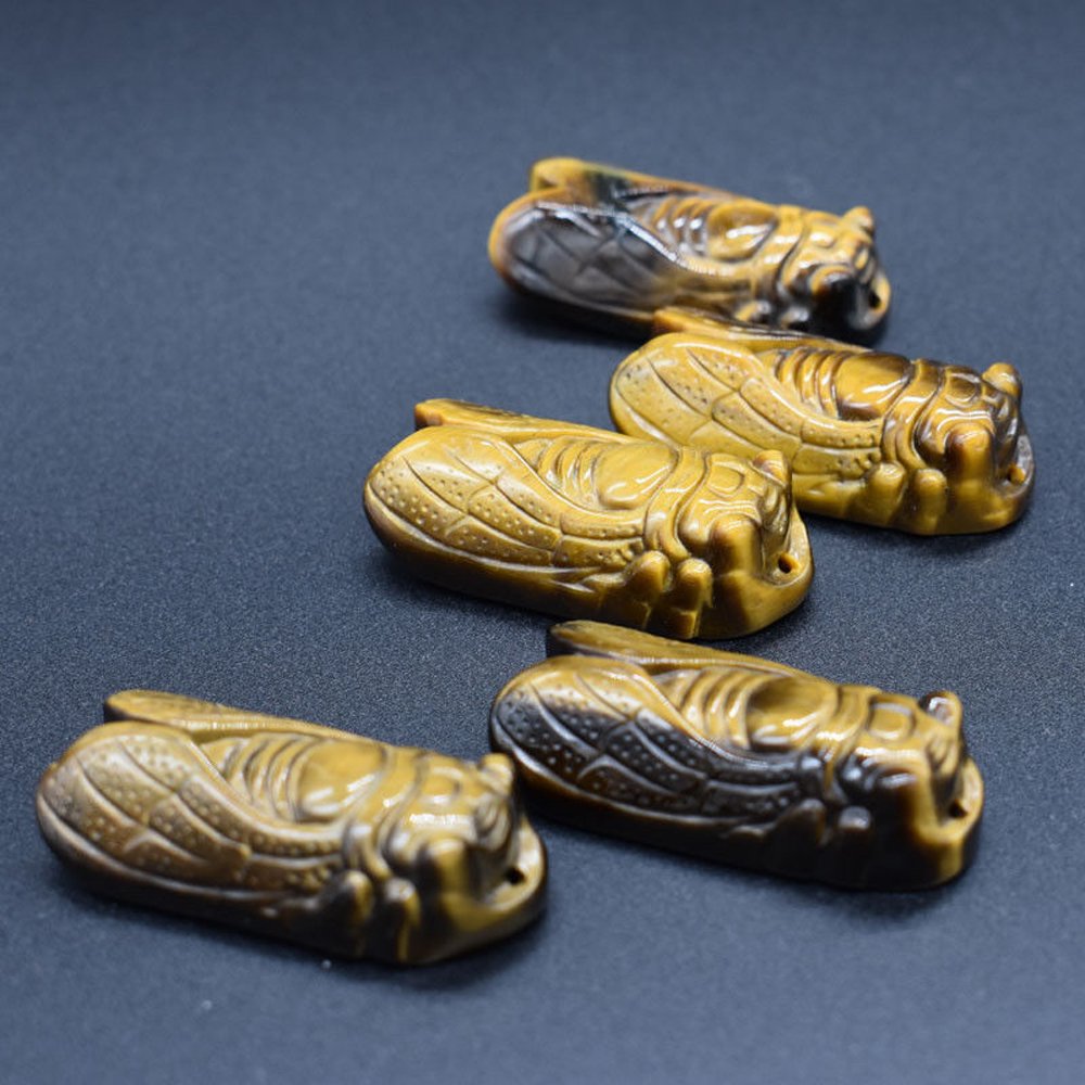 Ximimark cicada pendant close-up with rope, wear-ready for daily use.