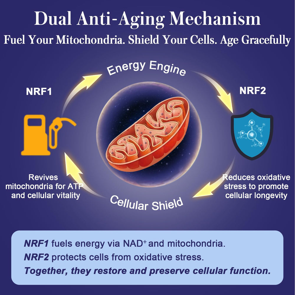 Xontravix green tea polyphenols image signals natural antioxidant support.