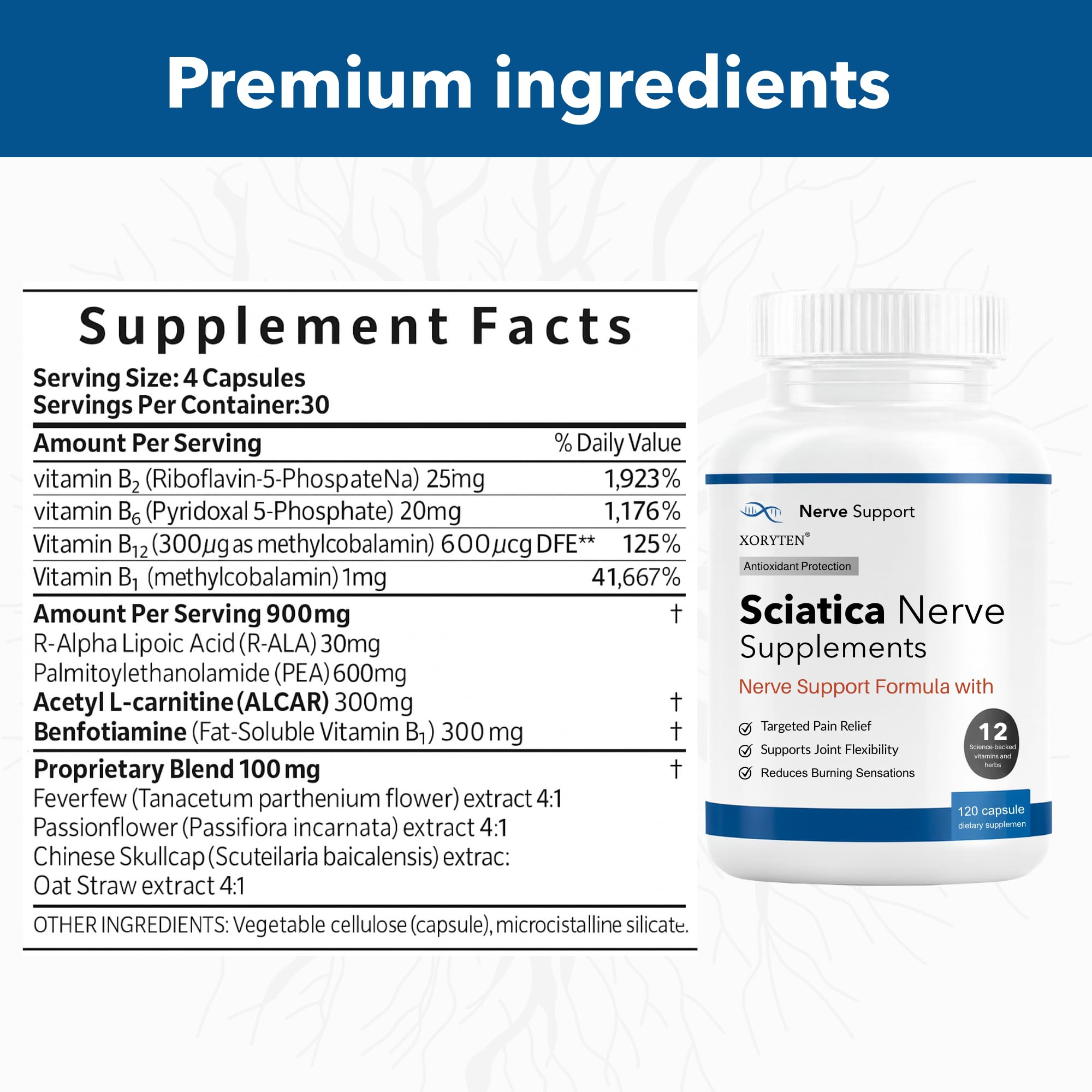 XORYTEN ingredient blend emphasizes Alpha Lipoic Acid and PEA for potential nerve support.