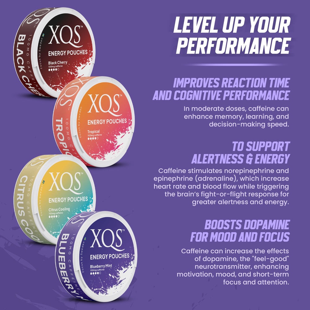XQS Blueberry Mint energy pouch delivers fruity taste with zero sugar.