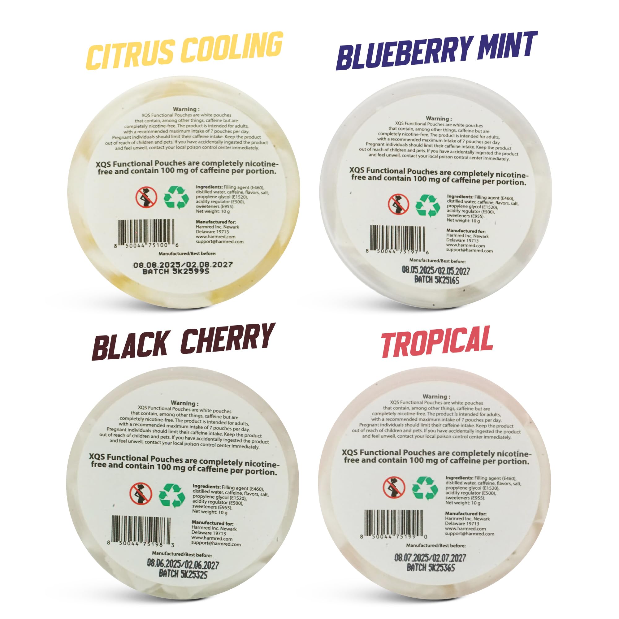 XQS variety-pack tin reveals 80 pouches across four flavors.