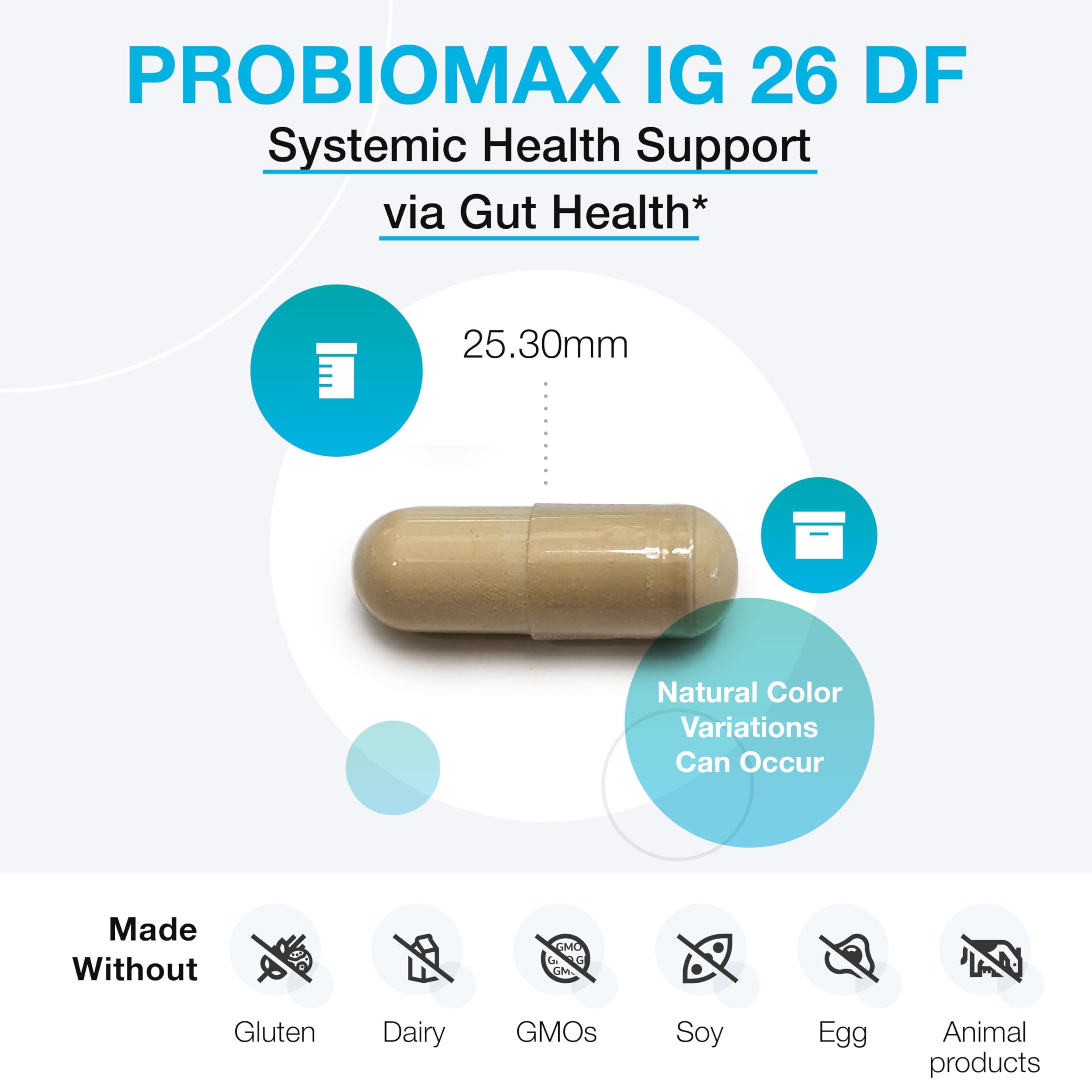 Close-up of spore-coated Bacillus coagulans technology in ProbioMax IG 26.